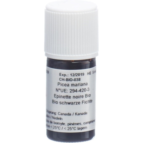 Aromasan Black spruce needles Äth / Oil Bio 5ml