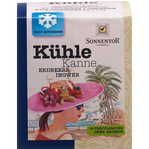 Sonnentor cool pot Teepyramiden strawberry ginger 16 pcs