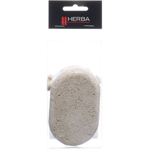 Herba pumice