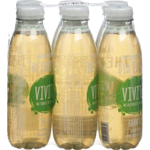 VIVITZ Bio iced tea green tea 6 x 0.5 lt