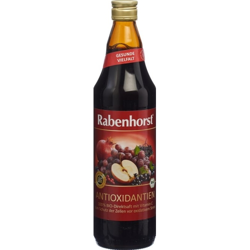 Rabenhorst antioxidants juice bio 7.5 dl