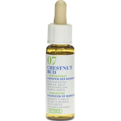 Phytomed Bachblüten No7 Rosskast Knospe Flasche 10ml
