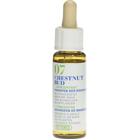 Phytomed Bachblüten No7 Rosskast Knospe Flasche 10ml buy online