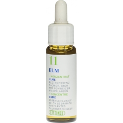 Phytomed Bachblüten No11 Ulme Flasche 10ml