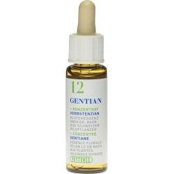 Phytomed Bachblüten No12 Herbstenzian Flasche 10ml