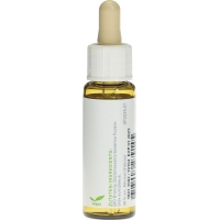 Phytomed Bachblüten No13 Stechginster Flasche 10ml