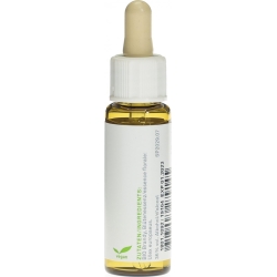 Phytomed Bachblüten No13 Stechginster Flasche 10ml