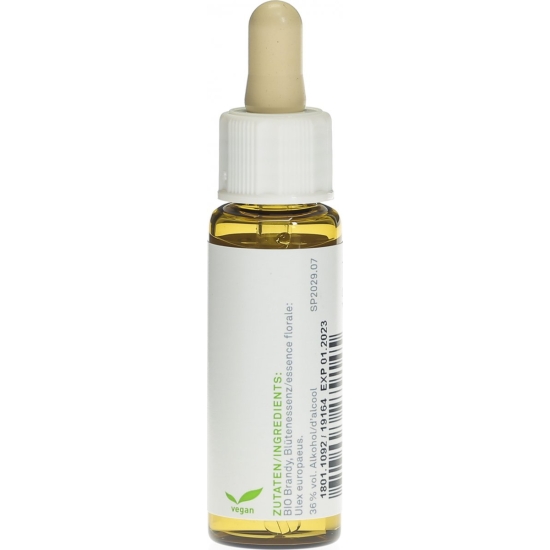 Phytomed Bachblüten No13 Stechginster Flasche 10ml buy online