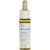 Phytomed Bachblüten No14 Heidekraut Flasche 10ml