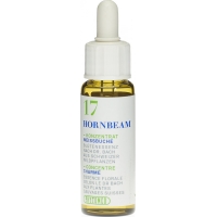 Phytomed Bachblüten No17 Weissbuche Flasche 10ml