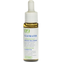Phytomed Bachblüten No9 Weisse Waldrebe Flasche 10ml
