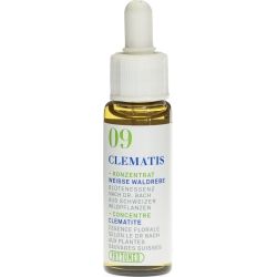 Phytomed Bachblüten No9 Weisse Waldrebe Flasche 10ml