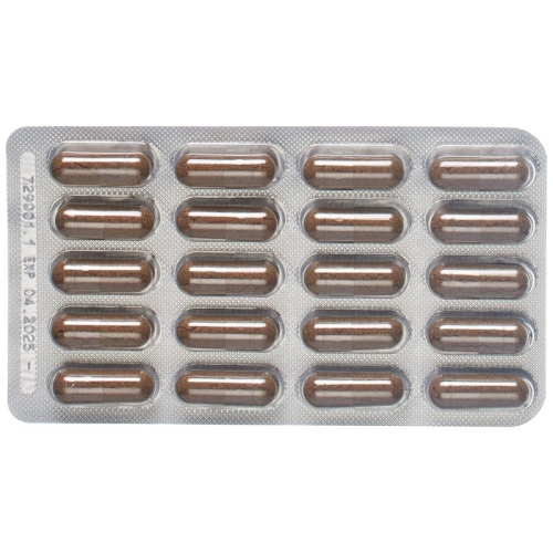 Padma Cogniben Capsules Blister 60 Piece buy online