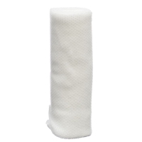 Raucolast elastic bandage 10cmx4m 20 pcs