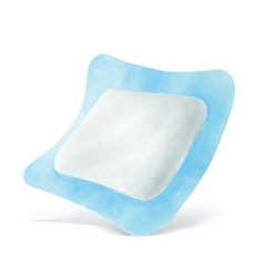 Vliwasorb Pro Wundverband 22x32cm 10 Stück
