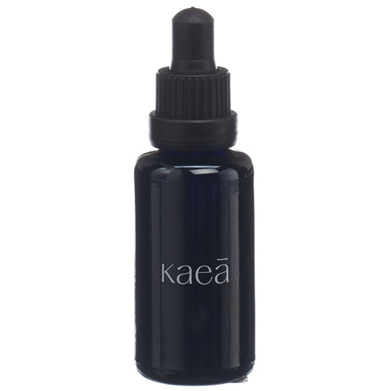 Quatohex Flächendesinfet Liquid Kanne 5L buy online