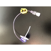 Ez Huber Sicherheits-Portnad 20gx38mm O Flue 25 Stück