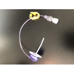 Ez Huber Sicherheits-Portnad 20gx38mm O Flue 25 Stück