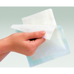 Gazin Set 10 Kompressen 10x10cm 8-fach 30 Stück