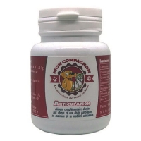 Mon Compagnon Articulation Tabletten Dose 60 Stück