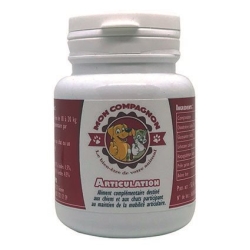 Mon Compagnon Articulation Tabletten Dose 60 Stück