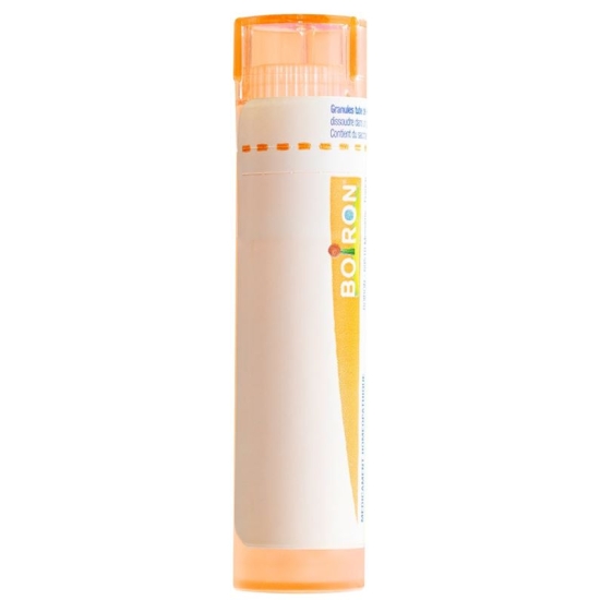 Boiron Zincum metallicum Gran C 15 4g buy online