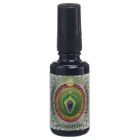 Aromasphere Vertrauen Raumspray 30ml