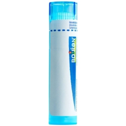 Boiron Echinacea angustifolia Gran C 9 4g