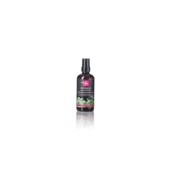 Suissessences Raumspray Pfefferminze Flasche 100ml buy online