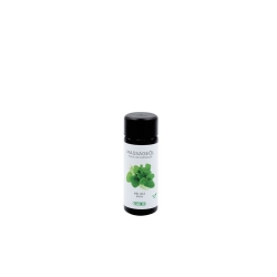 Phytomed Melissa Massage Oil 100 ml