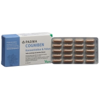 Padma Cogniben Capsules Blister 60 Piece