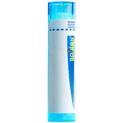 Boiron Mercury corrosivus Gran C 9 4 g