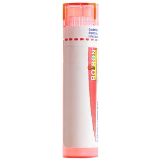 Boiron Spongia tosta Gran C 7 4g buy online